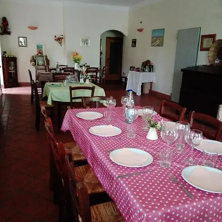 Clorofilla * Mercato Saraceno