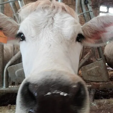 Farm stay Clorofilla